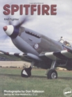Image for Spitfire  : RAF fighter