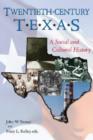 Image for Twentieth-century Texas : A Social and Cultural History