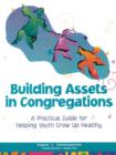 Image for Building Assets in Congregations : A Practical Guide for Helping Youth Grow Up Healthy