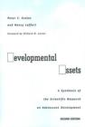 Image for Developmental Assets : A Synthesis of the Scientific Research on Adolescent Development