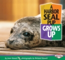 Image for A Harbor Seal Pup Grows Up.