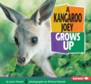 Image for A Kangaroo Joey Grows Up.