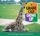 Image for A Giraffe Calf Grows Up.