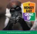 Image for A Monkey Baby Grows Up.