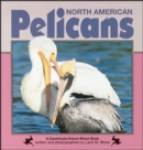 Image for North American Pelicans.