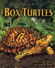 Image for Box Turtles