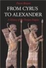 Image for From Cyrus to Alexander : A History of the Persian Empire