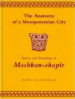 Image for The Anatomy of a Mesopotamian City : Survey and Soundings at Mashkan-shapir