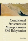 Image for Conditional Structures in Mesopotamian Old Babylonian