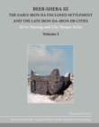 Image for Beer-Sheba III : The Early Iron IIA Enclosed Settlement and the Late Iron IIA–Iron IIB Cities