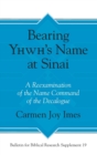 Image for Bearing Yhwh’s Name at Sinai