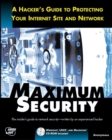 Image for Maximum Internet Security