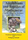 Image for Amphibians and reptiles of Madagascar, the Mascarenes, the Seychelles, and the Comoros Islands