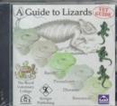 Image for A Guide to Lizards
