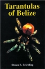 Image for Tarantulas of Belize