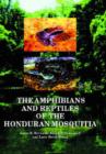 Image for The Amphibians and Reptiles of the Honduran Mosquitia