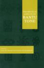 Image for Theoretical Aspects of Bantu Tone