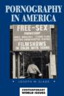 Image for Pornography in America