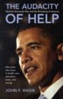 Image for The audacity of help  : Obama&#39;s economic plan and the remaking of America