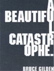 Image for A Beautiful Catastrophe