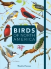 Image for Birds of North America : Undated Weekly and Monthly Planner