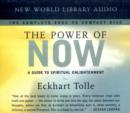 Image for The Power of Now
