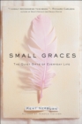 Image for Small graces: the quiet gifts of everyday life.
