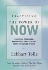 Image for Practicing the power of now: meditations, exercises, and core teachings for living the liberated life
