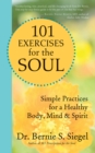 Image for 101 exercises for the soul: divine workout plan for body, mind and spirit