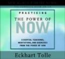 Image for Practicing the Power of Now