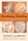 Image for Developing intuition: practical guidance for daily life