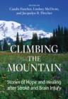 Image for Climbing the Mountain