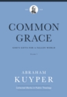 Image for Common Grace (Volume 1): God&#39;s Gifts for a Fallen World