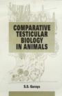 Image for Comparative Testicular Biology in Animals