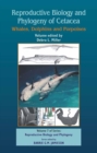 Image for Reproductive Biology and Phylogeny of Cetacea: Whales, Dolphins, and Porpoises