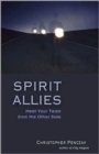 Image for Spirit allies  : meet your team from the other side