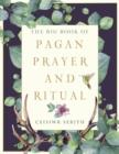Image for The Big Book of Pagan Prayer and Ritual