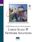 Image for Large-Scale IP Network Solutions (CCIE Professional Development)