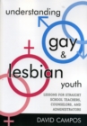 Image for Understanding Gay and Lesbian Youth
