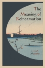 Image for The Meaning of Reincarnation