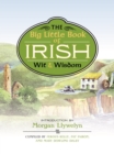 Image for Big Little Book of Irish Wit &amp; Wisdom