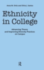 Image for Ethnicity in College : Advancing Theory and Improving Diversity Practices on Campus