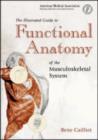 Image for The Illustrated Guide to Functional Anatomy of the Musculoskeletal System