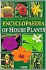 Image for Encyclopedia of House Plants
