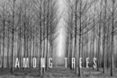 Image for Among trees