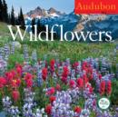 Image for Audubon Wildflowers Calendar