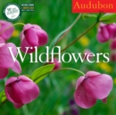 Image for Audubon Wildflowers Calendar