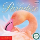 Image for Audubon Birds of Paradise Calendar
