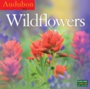 Image for Audubon Wildflowers Wall Calendar 2016