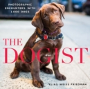 Image for The dogist